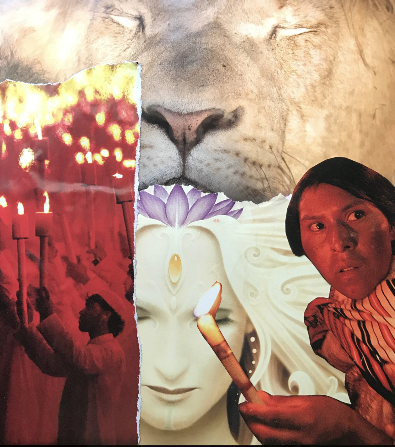 collage by Emily 