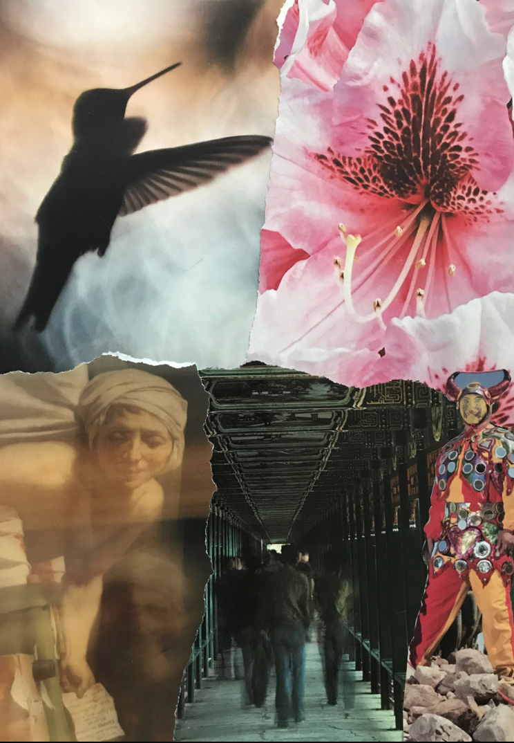 collage by Emily 