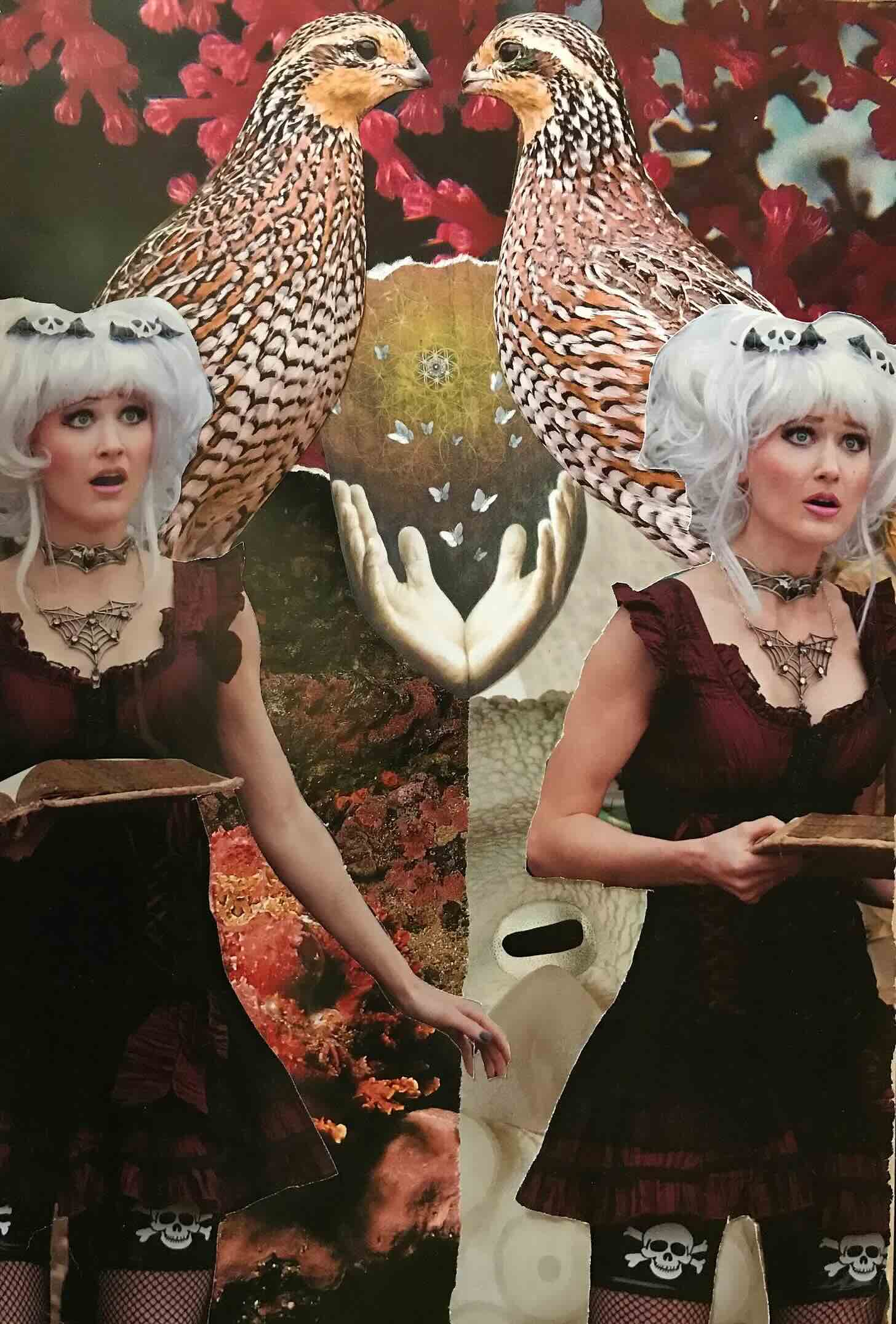 collage by Emily 